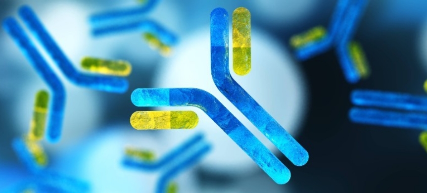 Antibody Drug Conjugates