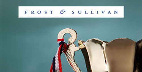 2019 Frost & Sullivan Global Customer Service Leadership Award