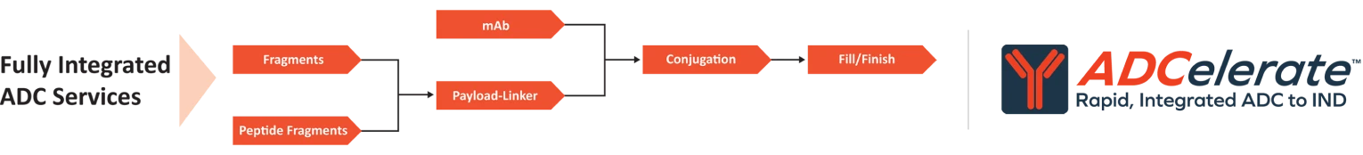 ADCelerate Pathway