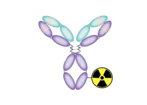 Radio-Conjugate ADCs