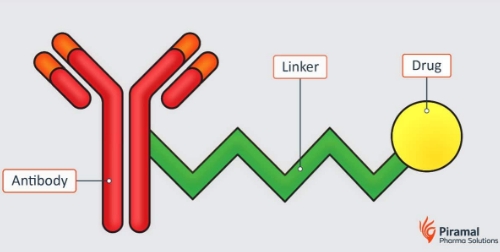 ADC Review: Validation of ADC Platform for Protein Concentration and the Drug-Antibody Ratio (DAR) using Variable Pathlength Technology by Conor Barry, Head of Development, Piramal Pharma Solutions