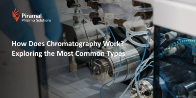 How Does Chromatography Work? Exploring the Most Common Types