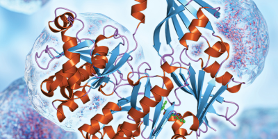 Biocatalysis: From Reaction Toolkits To Scalable Synthesis Applications