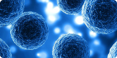 Moving Beyond Cytotoxicity: A Mechanism-Oriented Framework for Cellular Assessment