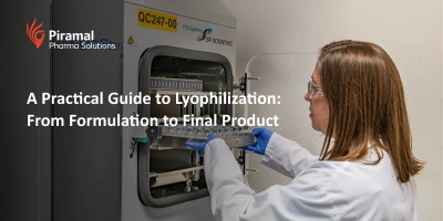 A Practical Guide to Lyophilization : From Formulation to Final Product