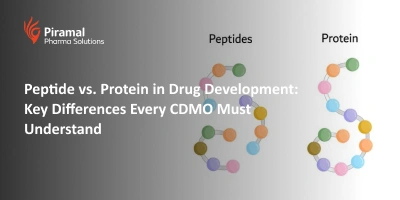 Peptide vs. Protein in Drug Development: Key Differences Every CDMO Must Understand
