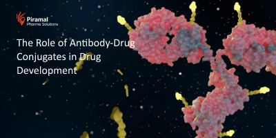 The Role of Antibody-Drug Conjugates in Drug Development