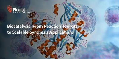 Biocatalysis : From Reaction Toolkits to Scalable Synthesis Applications