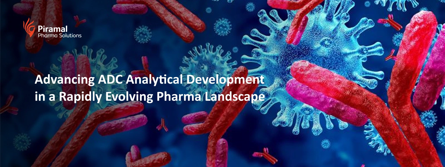 ADC analytical development for targeted therapies