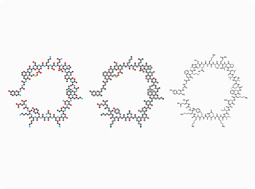 Molecular model of a cyclic peptide illustrating complex peptide structure used in pharmaceutical research and drug development