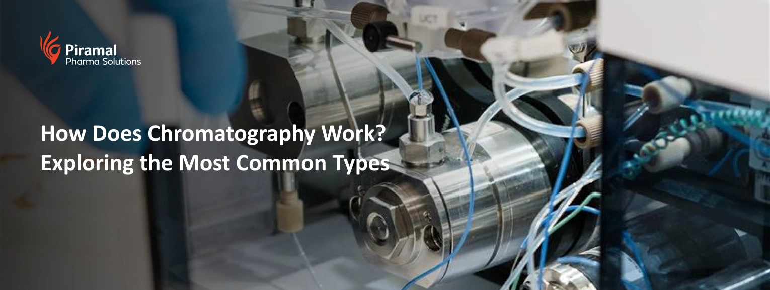 Laboratory chromatography system demonstrating how chromatography works for chemical and pharmaceutical analysis.