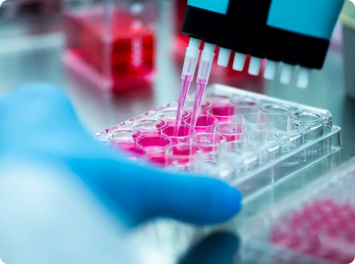 Scientist using micropipette to transfer liquid samples into well plate for laboratory analysis