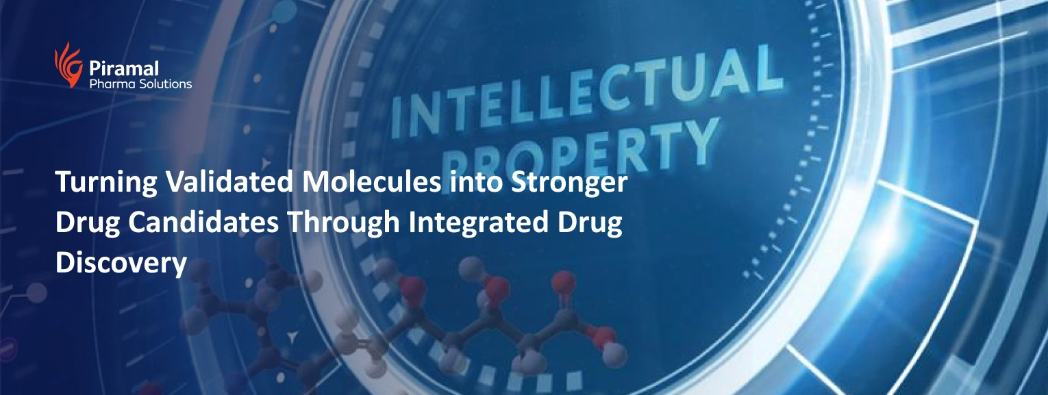 Piramal Pharma Solutions integrated drug discovery graphic showcasing validated molecules to drug candidates process