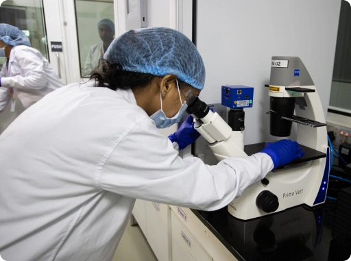 Female pharmaceutical laboratory scientist using a Primo Vert microscope to analyze cell cultures during drug discovery