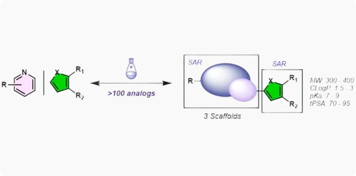 Chemical synthesis workflow highlighting structural variations, R-group substitutions, and physical-chemical property metrics for drug candidate selection