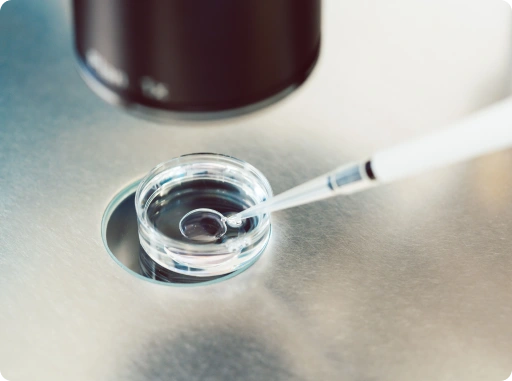 in vitro developmental biology