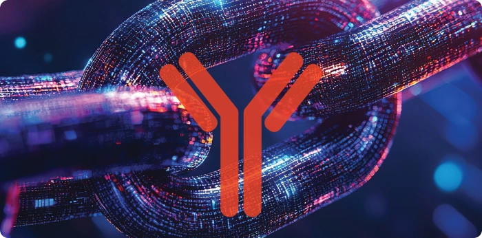 Digital illustration of antibody linker technology representing stable drug conjugation in targeted cancer therapies and ADC development