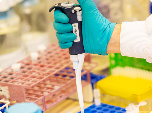 Formulation development