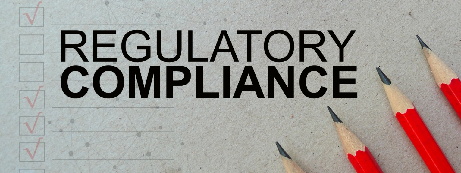 The words 'Regulatory Compliance,' in the image symbolizing effective partnerships with CDMOs for successful regulatory strategies.