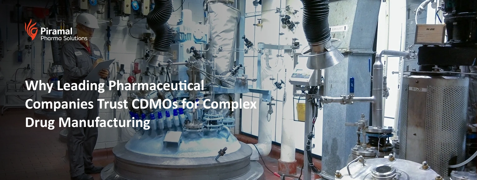 API manufacturing plant with advanced pharmaceutical processing equipment