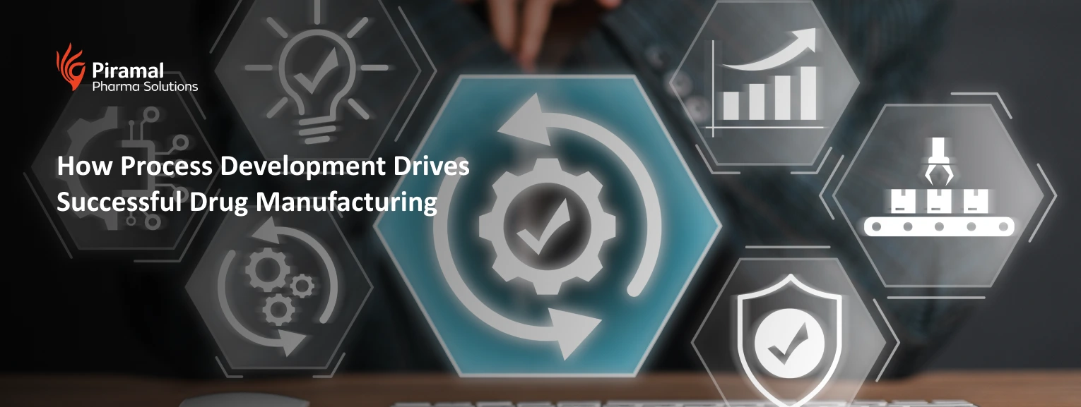 Process Development in Drug Manufacturing