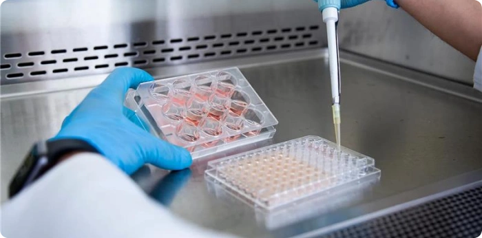 Researcher using a micropipette with multiwell plates during cell culture analysis and biologics testing in a controlled laboratory environment.
