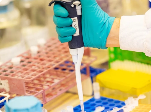 Scientist using a micropipette to transfer samples during biologics research and pharmaceutical drug development in a laboratory