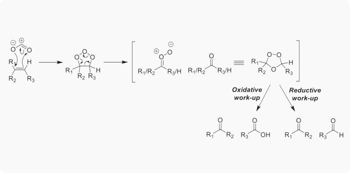 Detailed ozonolysis reaction mechanism showing alkene cleavage and formation of carbonyl compounds via oxidative and reductive workup in organic synthesis