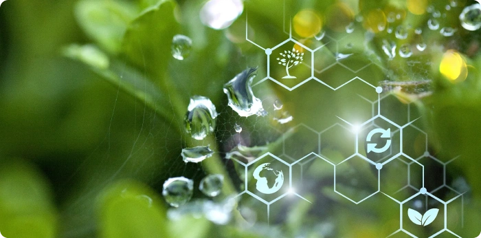 Green sustainability concept with molecular icons representing eco-friendly biocatalysis and sustainable pharmaceutical manufacturing