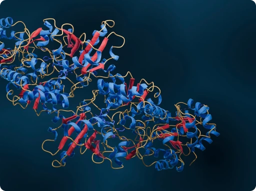 Molecular enzyme structure used in biocatalysis for pharmaceutical API synthesis and scalable drug manufacturing