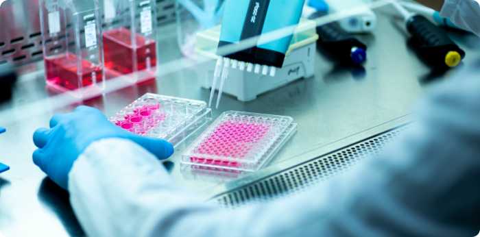 Cell Culture Management in Biomedical Lab