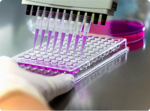 High-Throughput Screening in a Biotech Lab