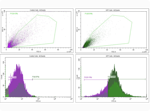 AAV2-ZSGreen of cytometric