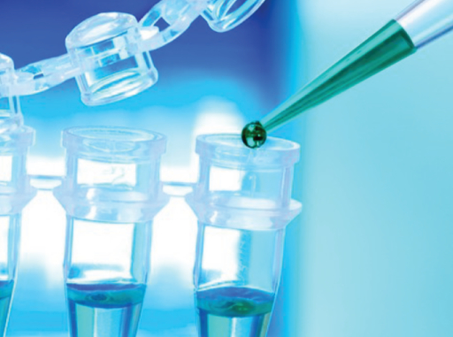Gastroretentive Dosage Forms