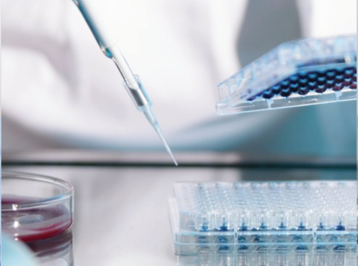 Solubility Enhancement at Piramal Pharma Solutions