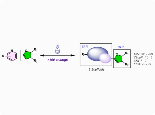 Case Study: Scaffold Modification of a Validated Pharmacophore