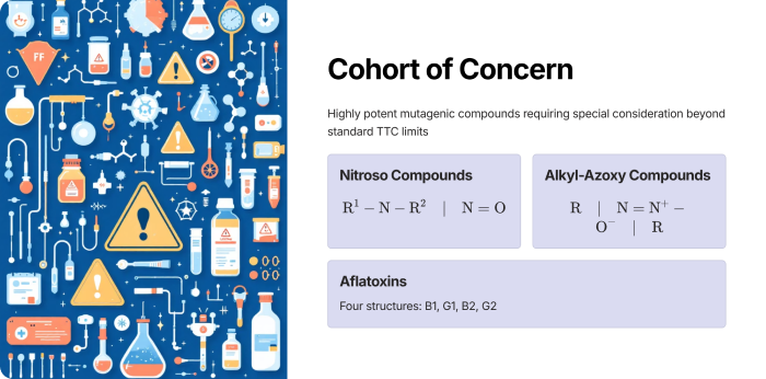 concern for cohort