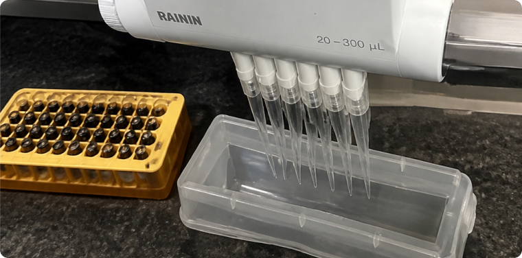 Fast Process Revamp to Improve Impurity control
