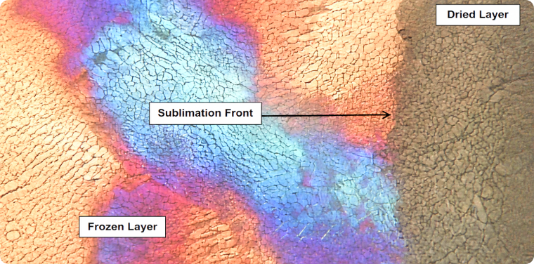Lyophilization under FDM image