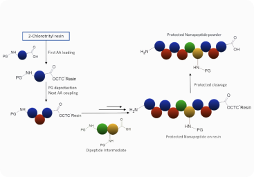 process of SPPS