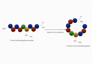 protected nonapeptide image