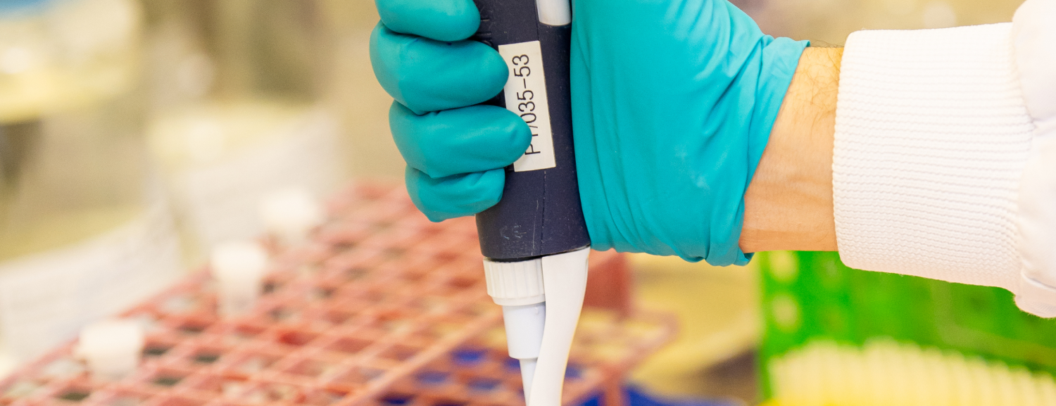 Lab technician in blue gloves using a micropipette to transfer liquid samples into tubes on a lab bench