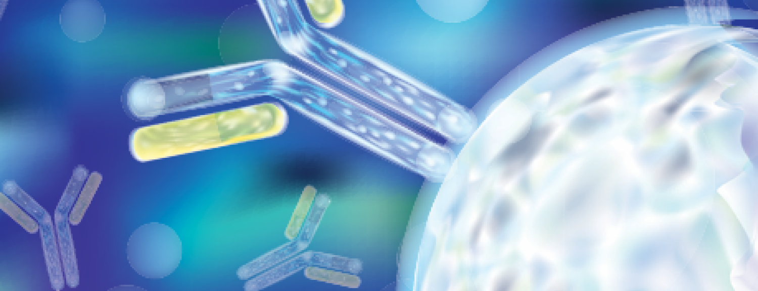 3D scientific illustration showing Y-shaped antibodies interacting