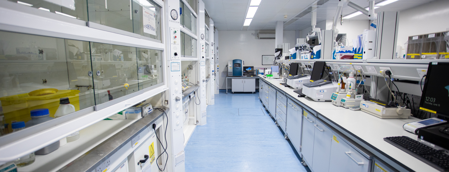 Empty clean room laboratory featuring rows of analytical testing