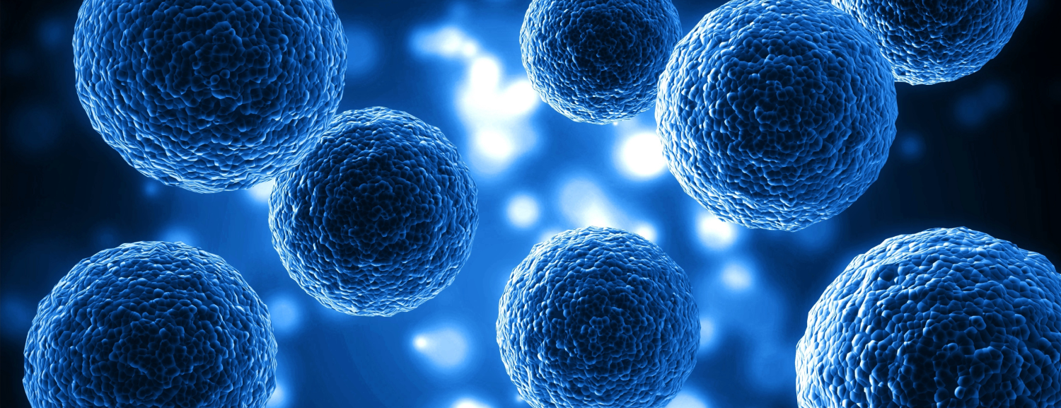 Microscopic View of Cellular Structures