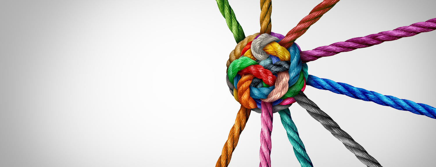 Unified Systems Network Integration