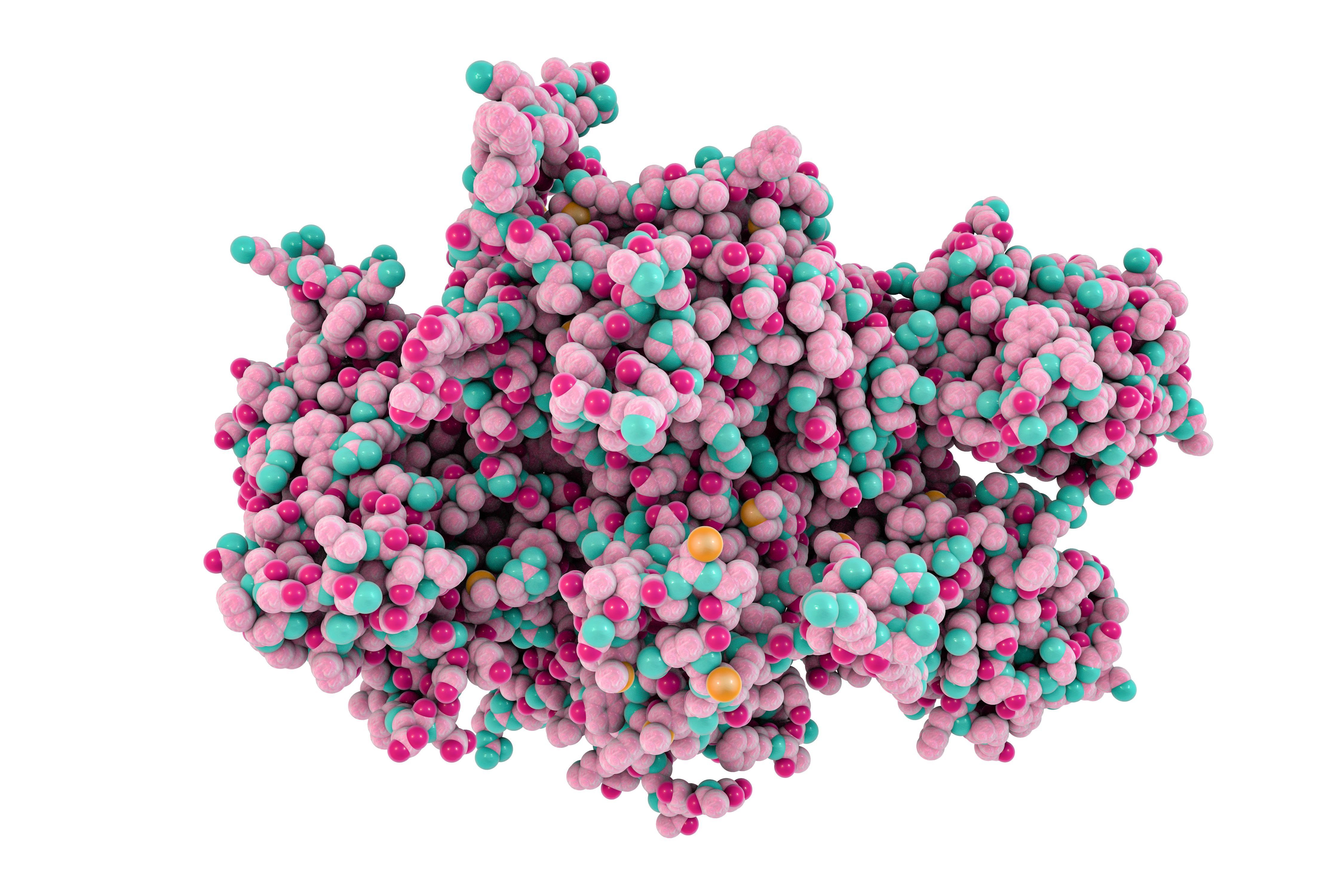 Coagulation Factor