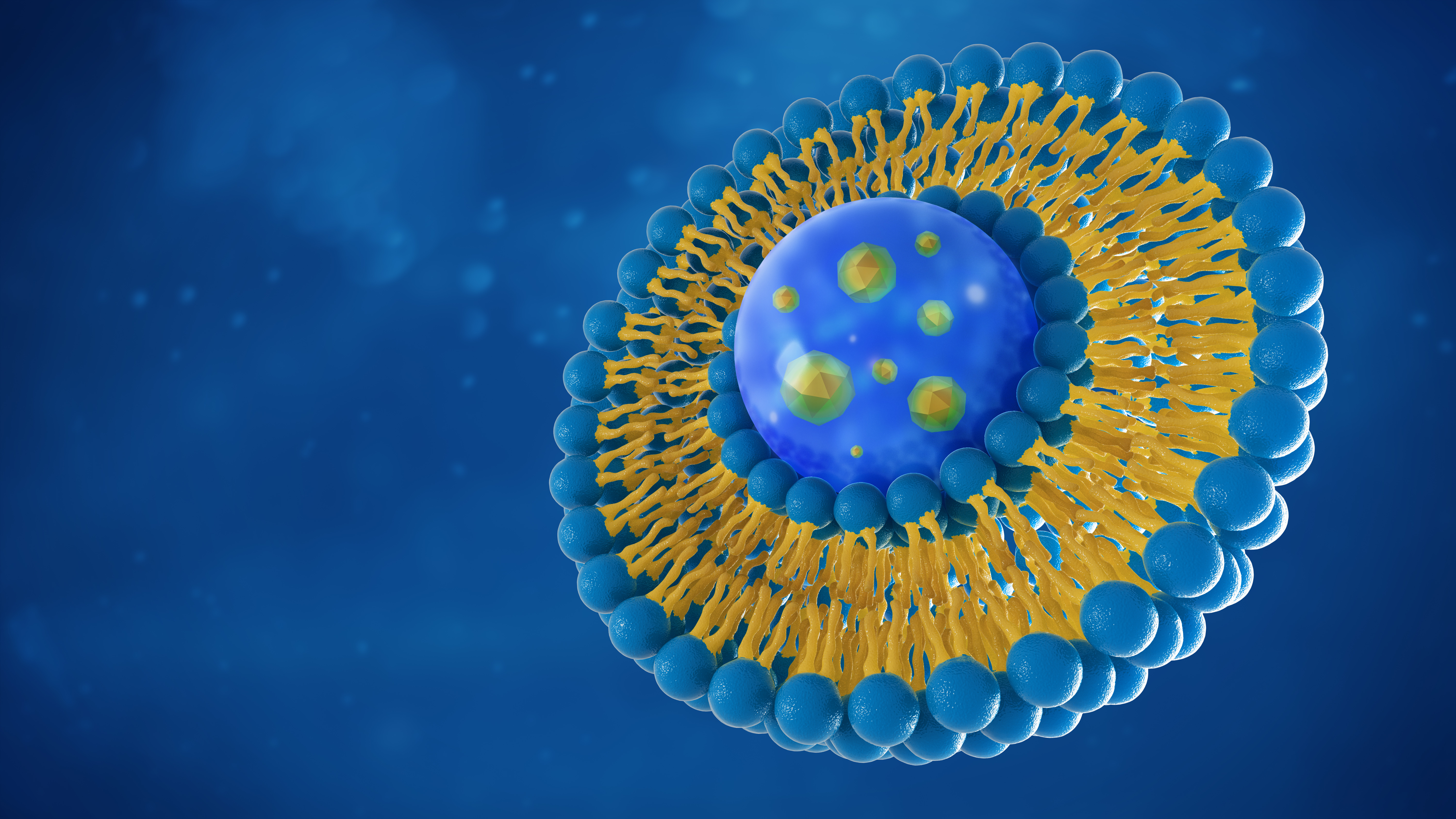 Liposome Structure Cell