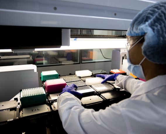 In Vitro Biology Laboratory