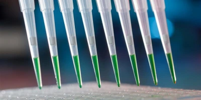 How High-Throughput Experimentation Accelerates Drug Development